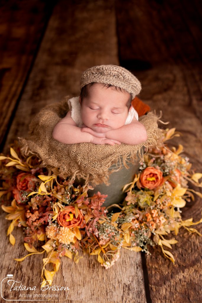 photographe bébé vitré, photo de Tatiana Brisson