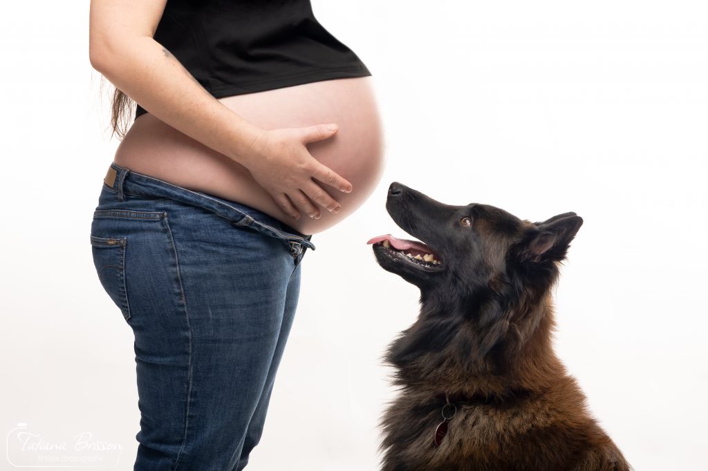 Séance photo grossesse en studio avec chien à Mâcon./Tatiana Brisson